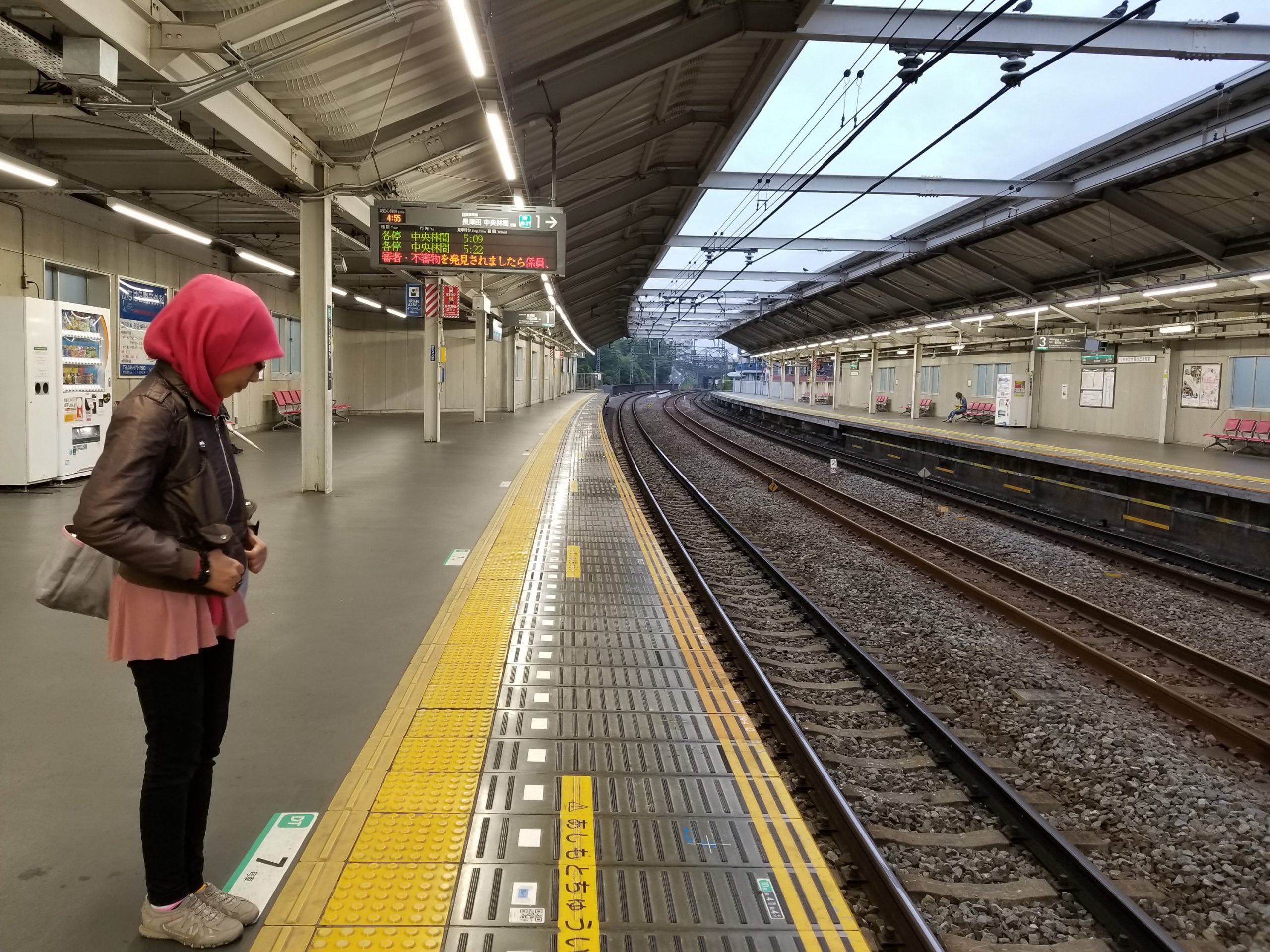 Transitting in Japan (part 2): Navigating around Tokyo